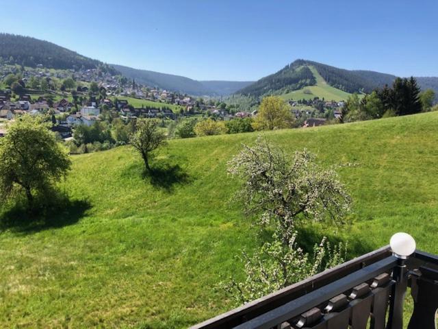 Pension Haus-Sommerberg Hotel Baiersbronn Buitenkant foto