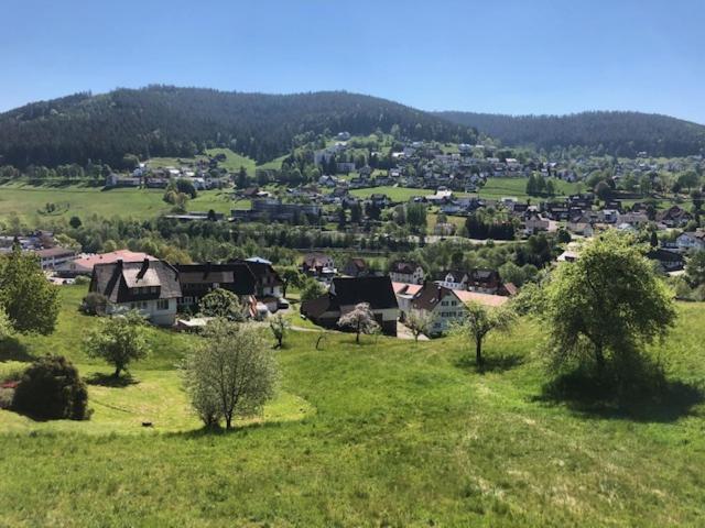 Pension Haus-Sommerberg Hotel Baiersbronn Buitenkant foto